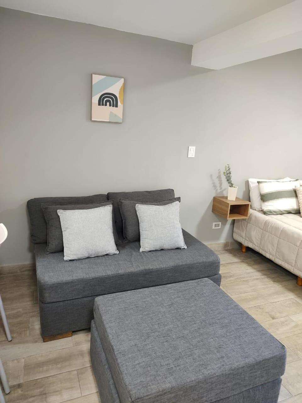356 Apartments - Mendoza Ngoại thất bức ảnh